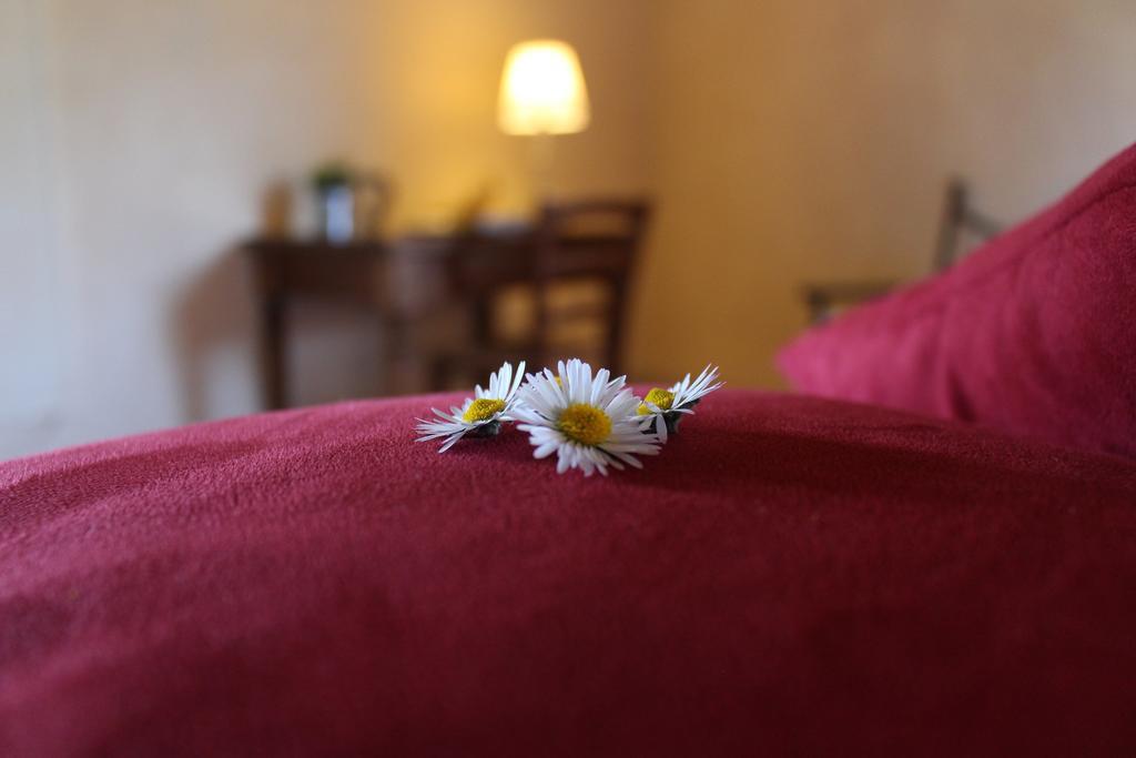Agriturismo Casavecchia 菲利内瓦尔达诺 外观 照片